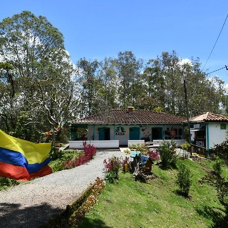 Bacoa Hostel Guatape Bagian luar foto